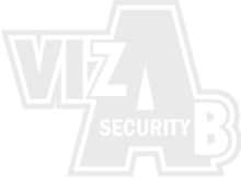 Vizab security